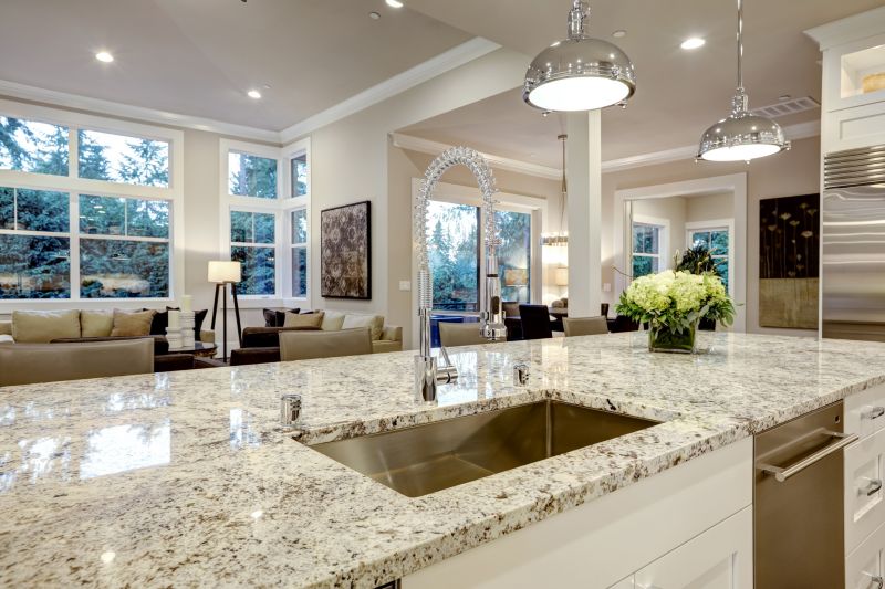 Sleek Kitchen Countertops